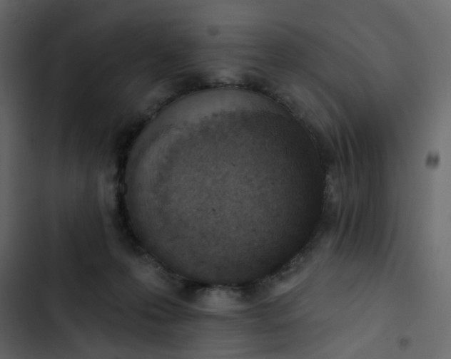 X0000102850223200809021408