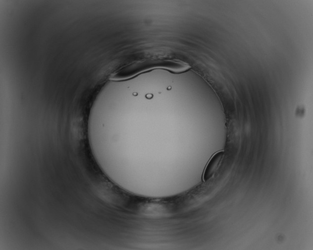 X0000102850224200809021408