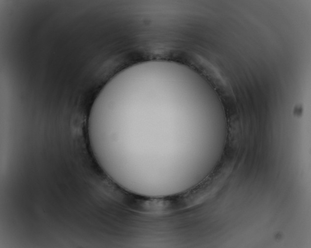 X0000102850225200809021408