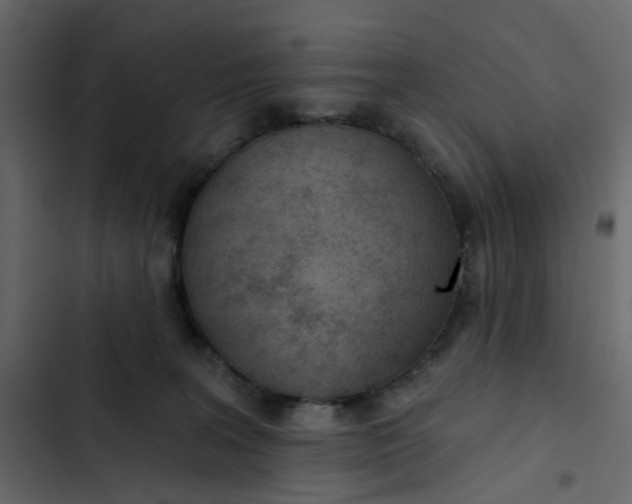 X0000102850227200809021408