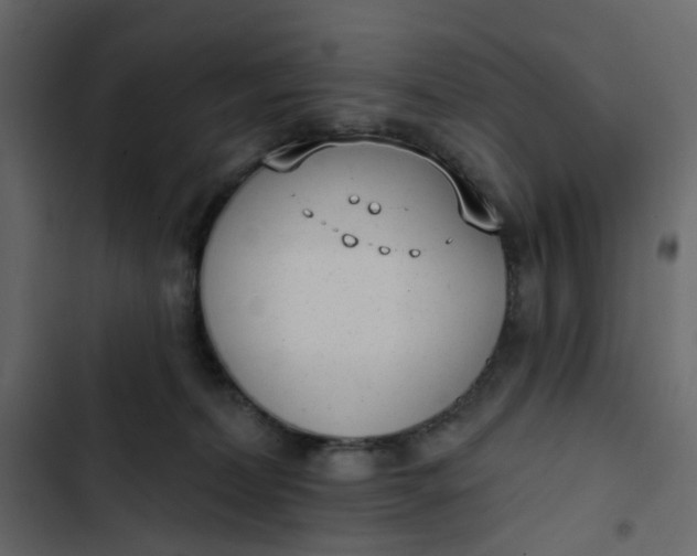 X0000102850228200809021408