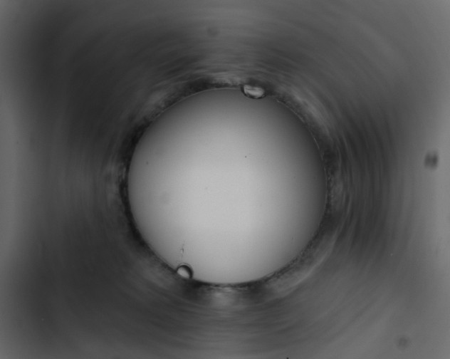 X0000102850229200809021408