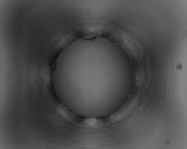 X0000102850231200809021408