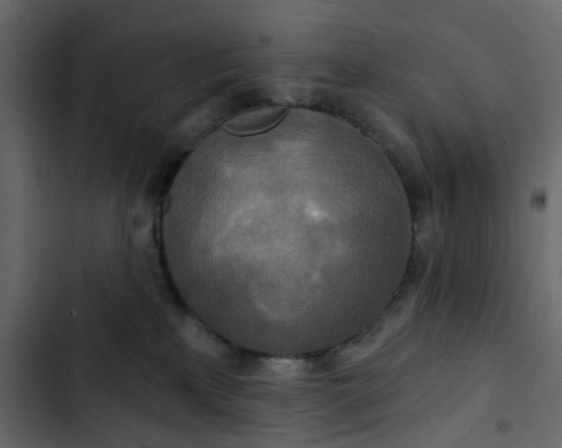 X0000102850233200809021408