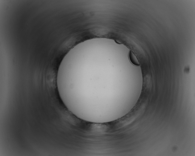 X0000102850234200809021408