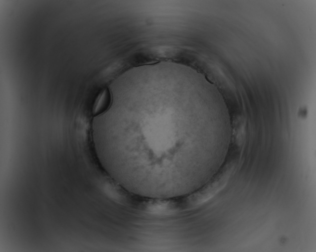 X0000102850235200809021408