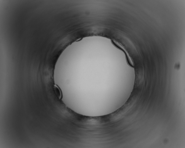 X0000102850236200809021408