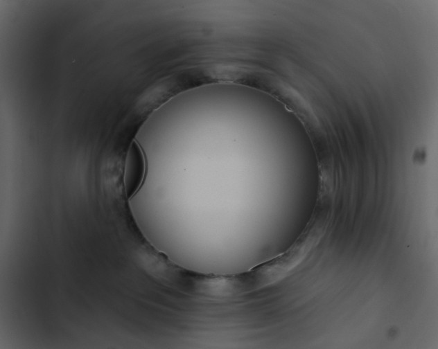 X0000102850237200809021408