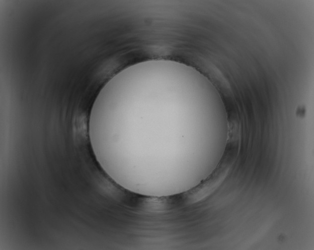 X0000102850238200809021408