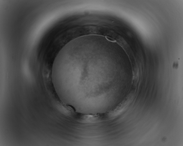 X0000102850239200809021408