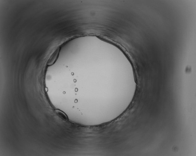 X0000102850241200809021408