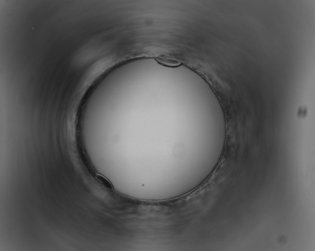 X0000102850242200809021408