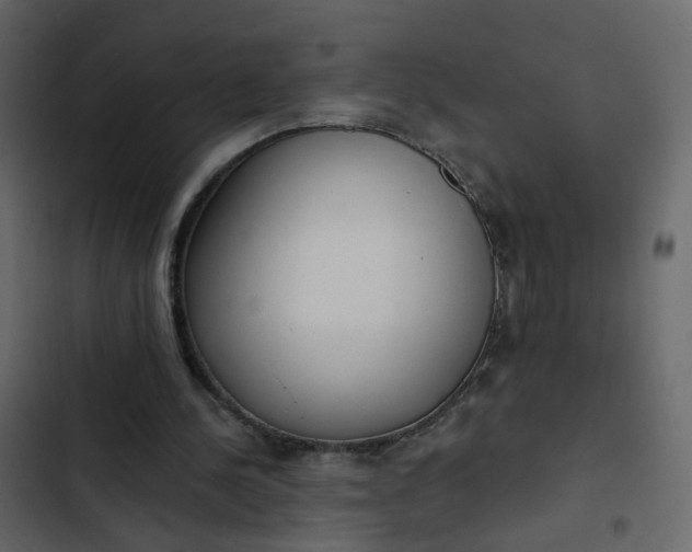 X0000102850244200809021408