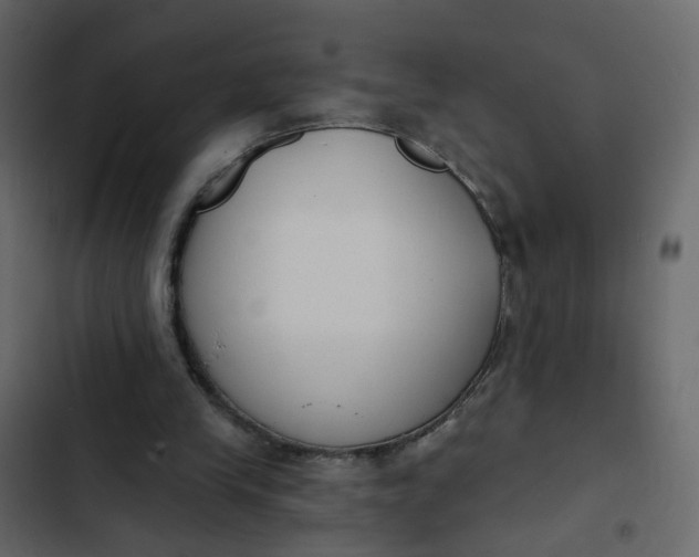 X0000102850245200809021408