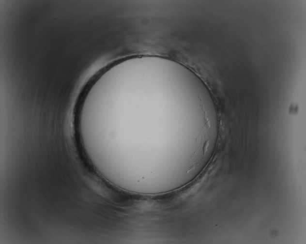 X0000102850246200809021408