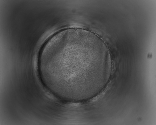 X0000102850247200809021408