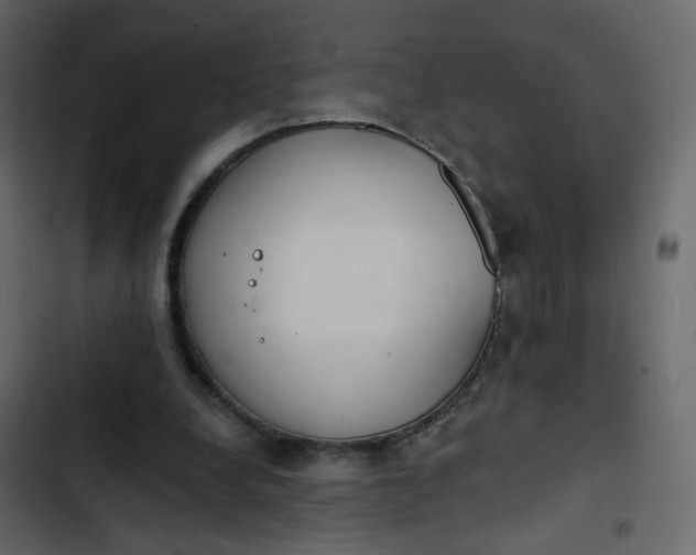 X0000102850248200809021408