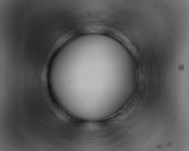 X0000102850250200809021408