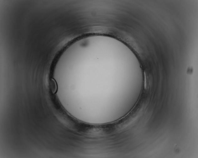 X0000102850252200809021408