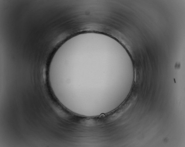 X0000102850253200809021408