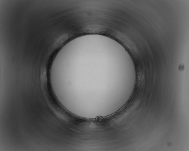 X0000102850254200809021408