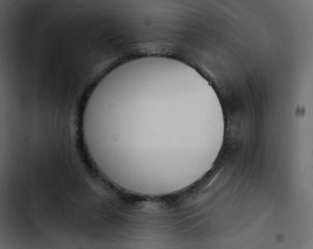 X0000102850255200809021408