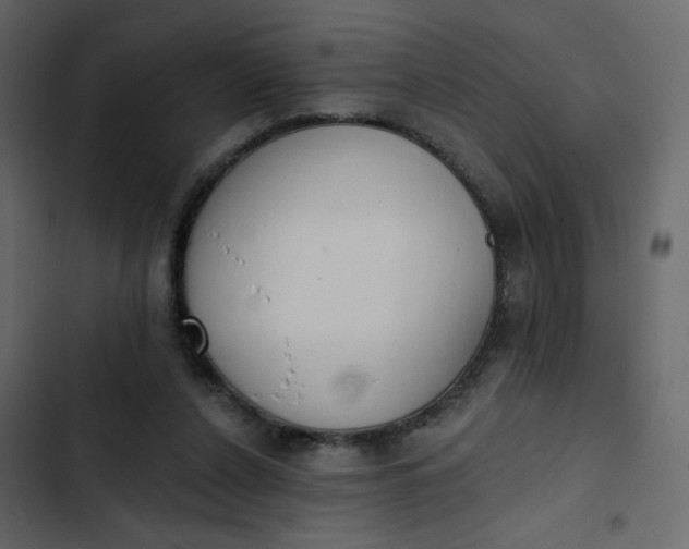 X0000102850256200809021408