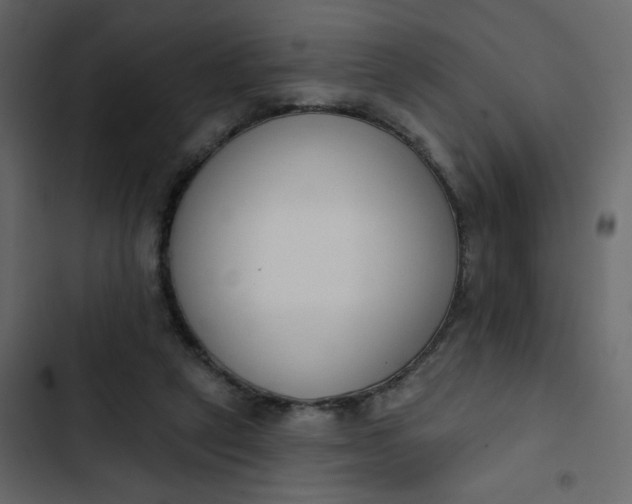 X0000102850257200809021408