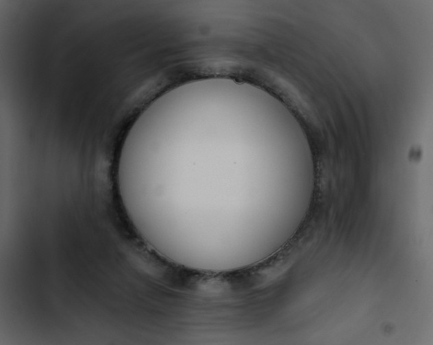 X0000102850258200809021408