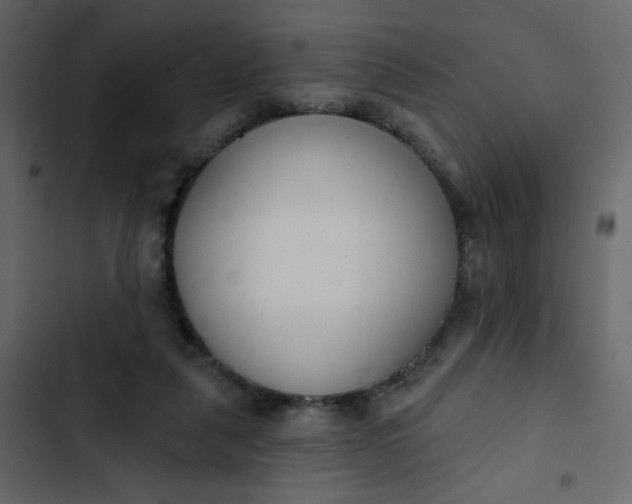 X0000102850259200809021408