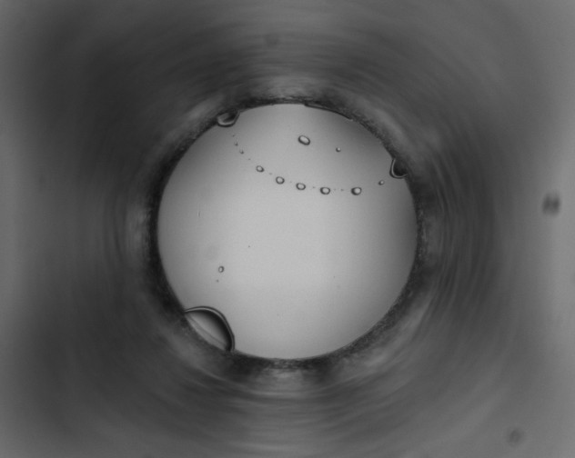 X0000102850260200809021408