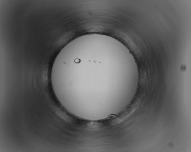 X0000102850261200809021408