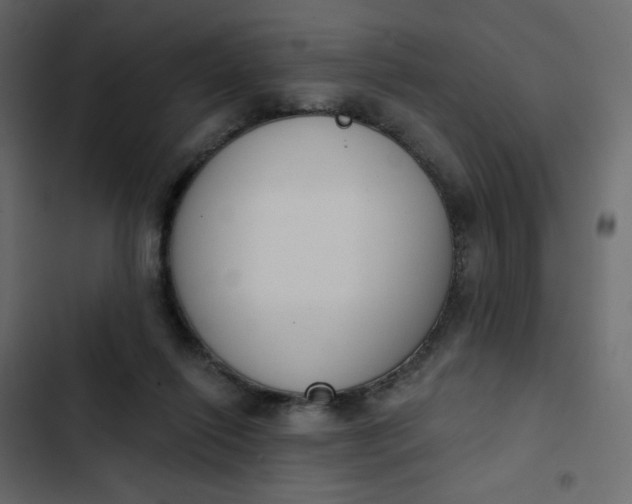 X0000102850262200809021408