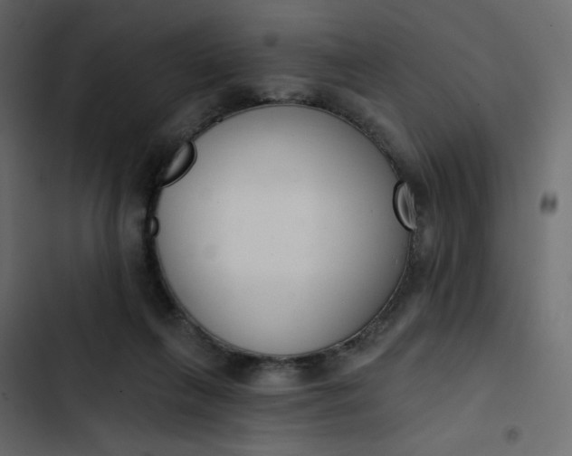 X0000102850263200809021408