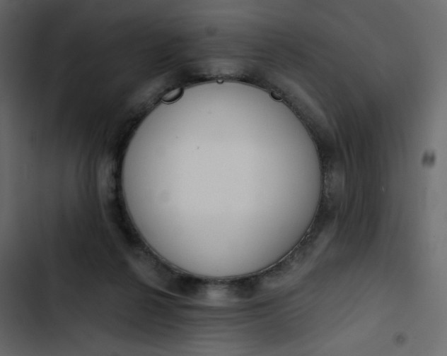 X0000102850264200809021408