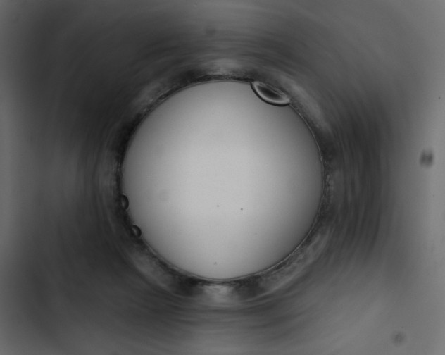 X0000102850265200809021408