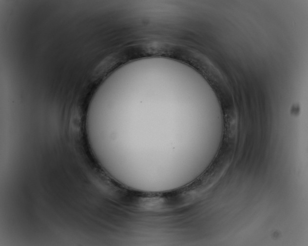 X0000102850266200809021408