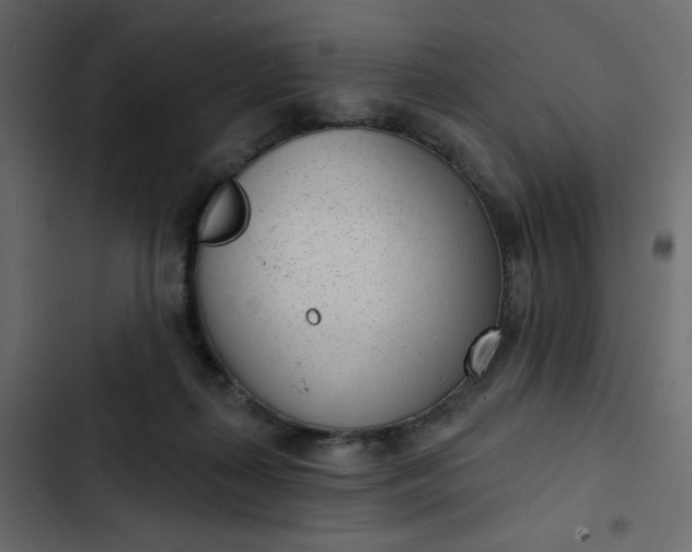 X0000102850267200809021408