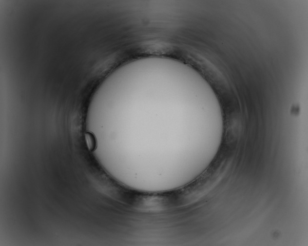 X0000102850268200809021408