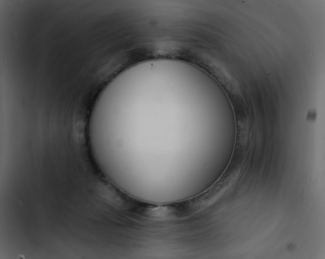 X0000102850269200809021408