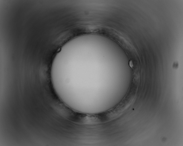 X0000102850270200809021408