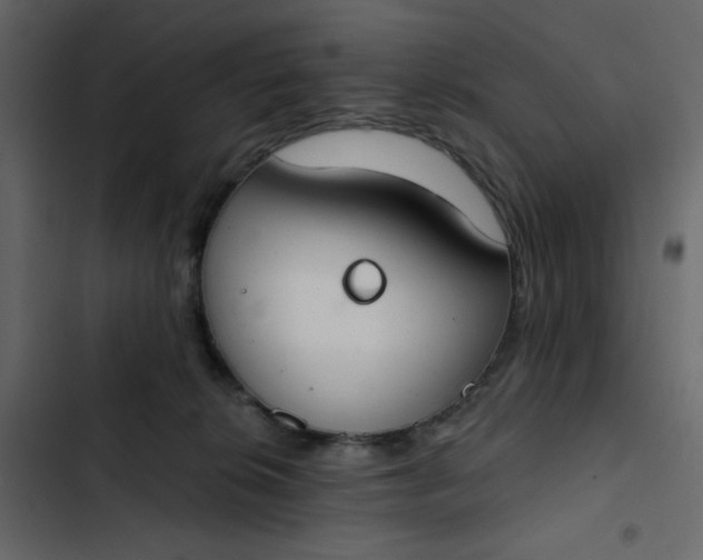 X0000102850276200809021408