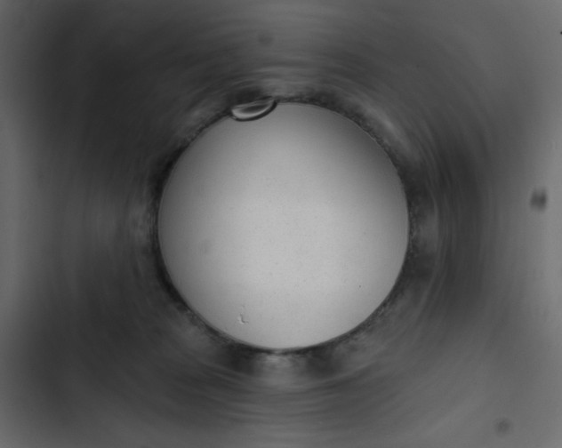 X0000102850277200809021408