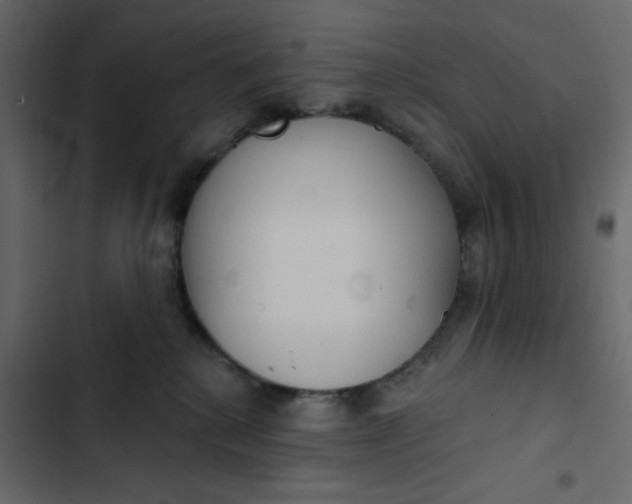 X0000102850280200809021408