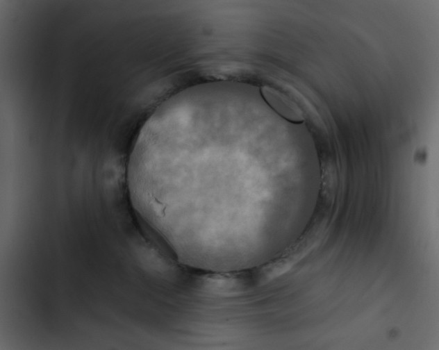 X0000102850284200809021408