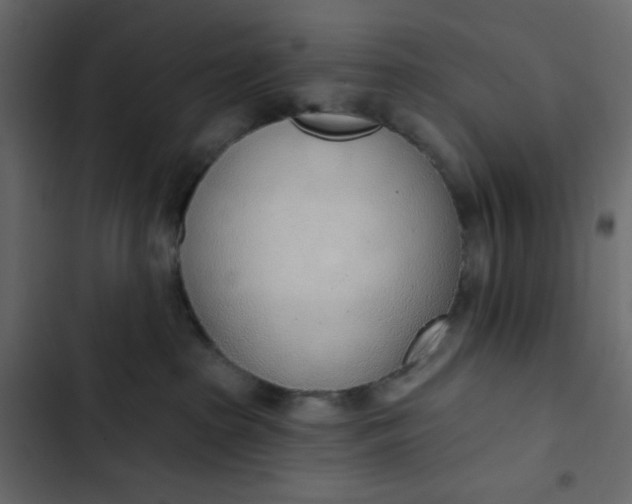 X0000102850285200809021408