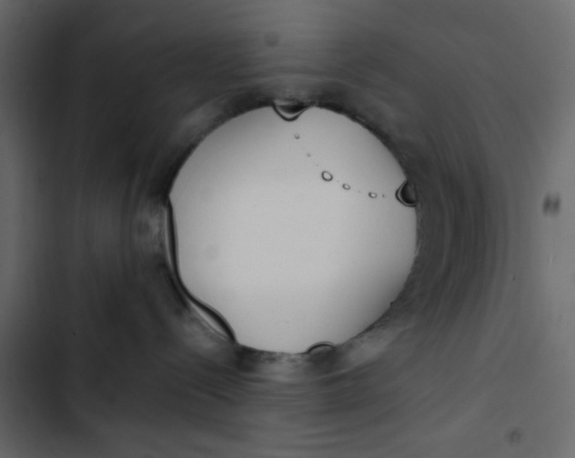 X0000102850288200809021408