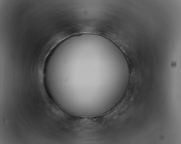 X0000102850290200809021408