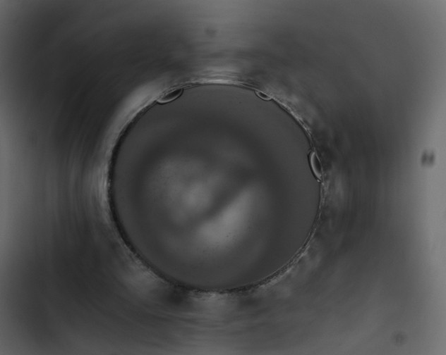 X0000102850293200809021408