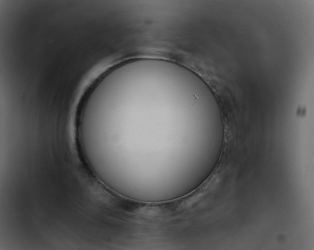 X0000102850294200809021408